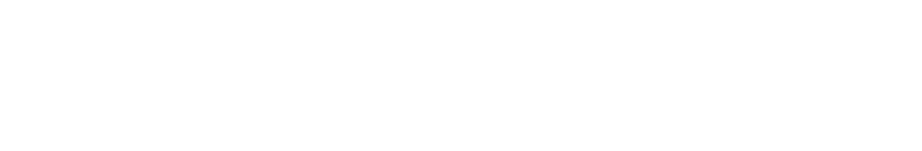 Zebronics